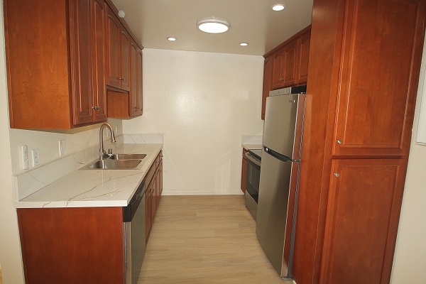 Modern kitchen with high end appliances