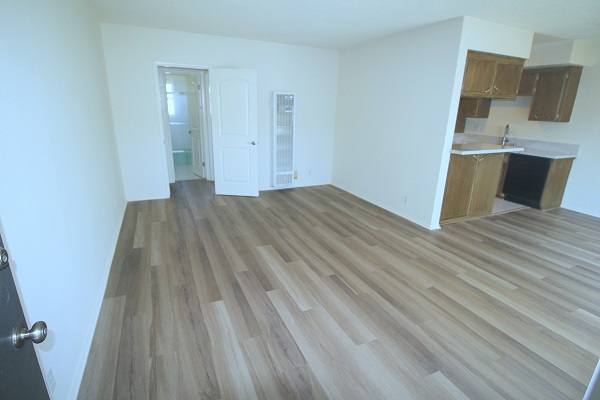Large Living room