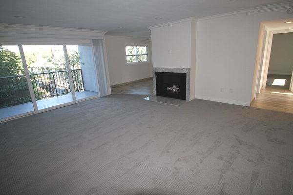 Catalina Cove - Very Latge Living Room with Fireplace and Balcony