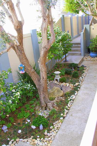 Unit overlooks Beautiful Japanese Garden Unit Overlooks Beautiful Japanese Garden