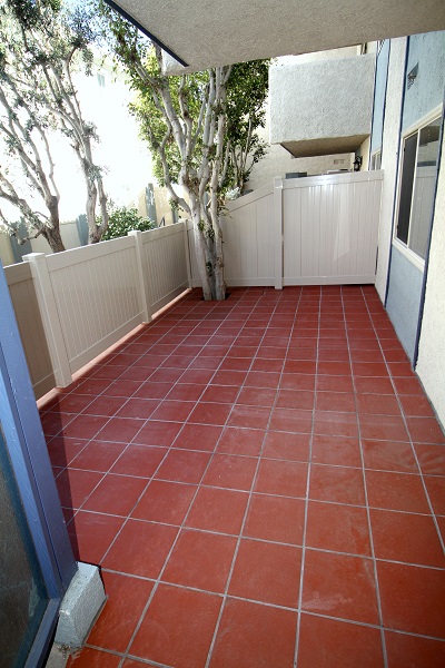 Huge (250 sf) fenced yard off living room Huge (250 sf) fenced yard off living room