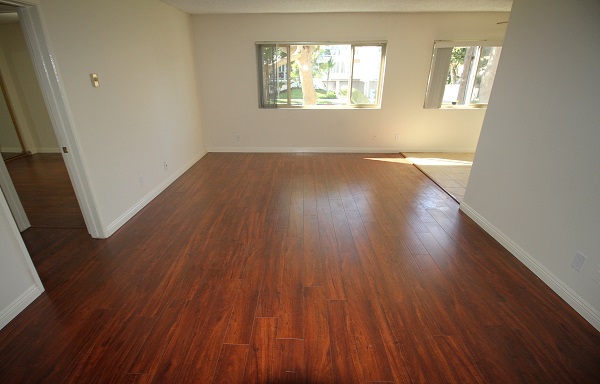 Large Living room with Hardwood laminate Floor
