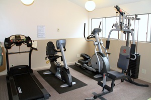 Professional Quality Gym and Dry Sauna Facilities